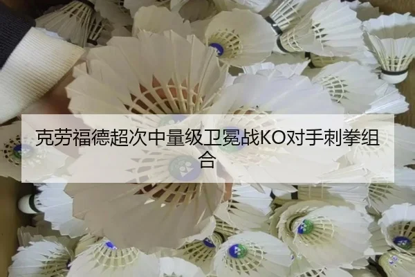 ke-lao-fu-de-chao-ci-zhong-liang-ji-wei-mian-zhan-dui-shou-ci-quan-zu-he-2-109.jpg